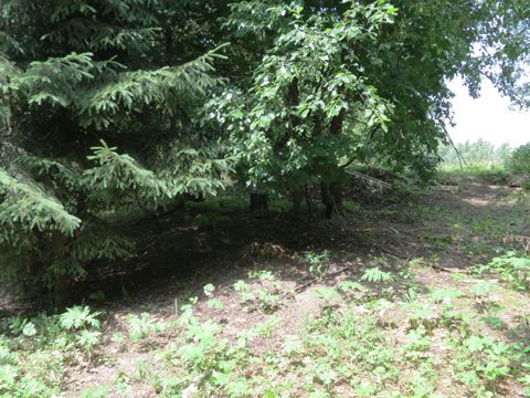 Foto 19